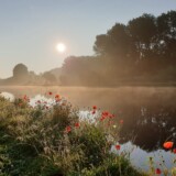 Voorschoten, 1 minute walk from the property